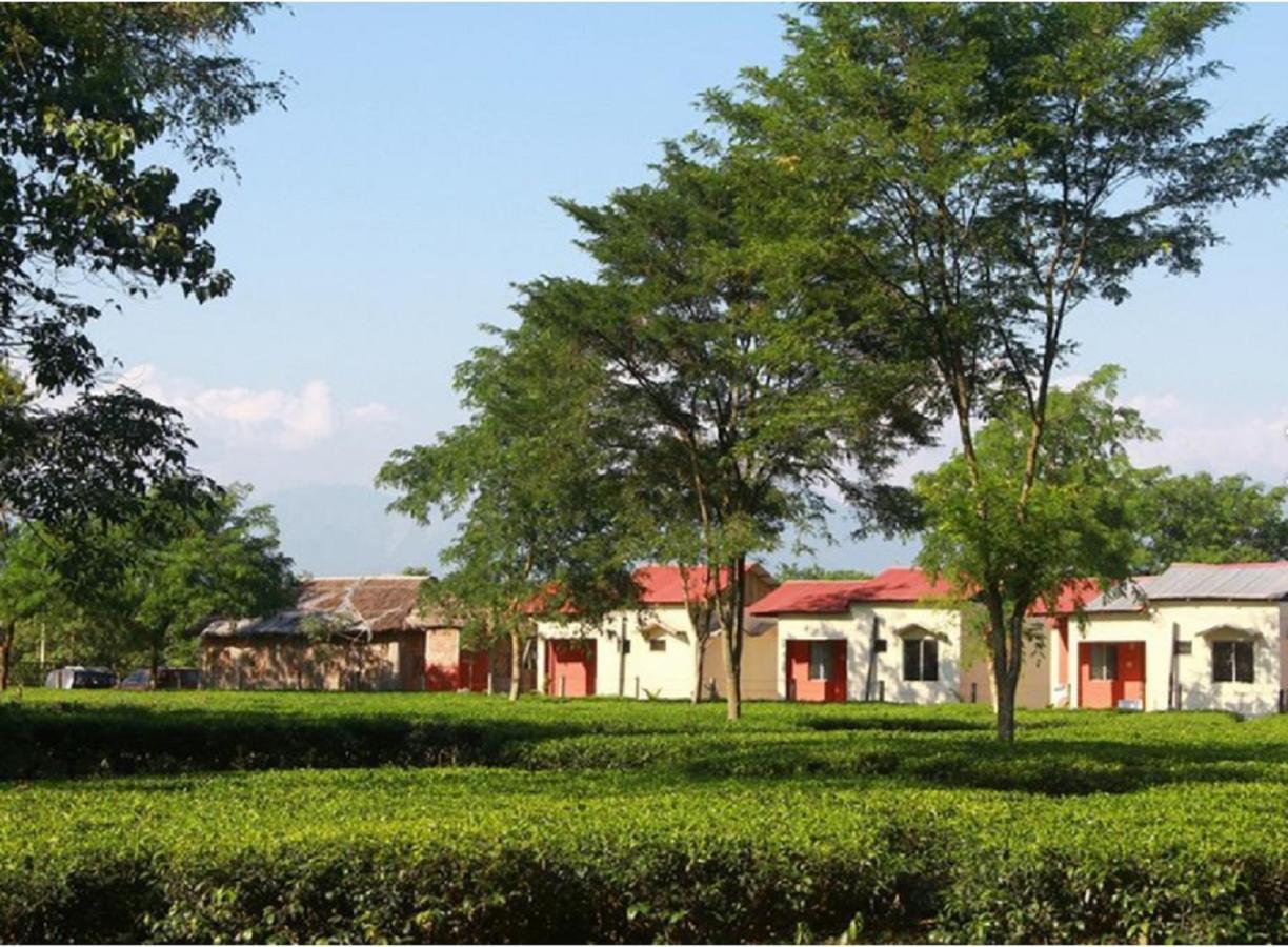 The Mystic Forest - A Tea Garden Resort At Dooars Madari Hat Екстериор снимка