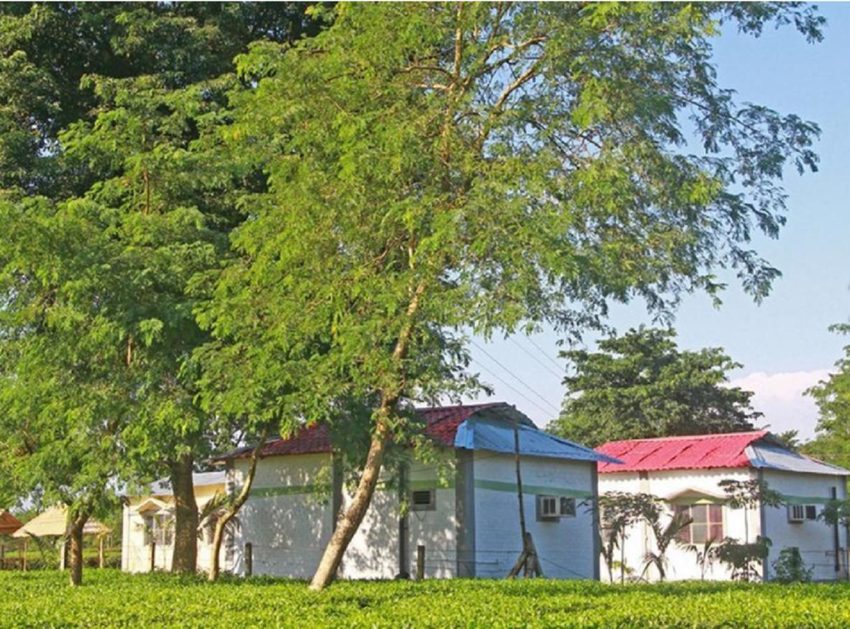The Mystic Forest - A Tea Garden Resort At Dooars Madari Hat Екстериор снимка