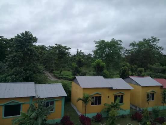 The Mystic Forest - A Tea Garden Resort At Dooars Madari Hat Екстериор снимка